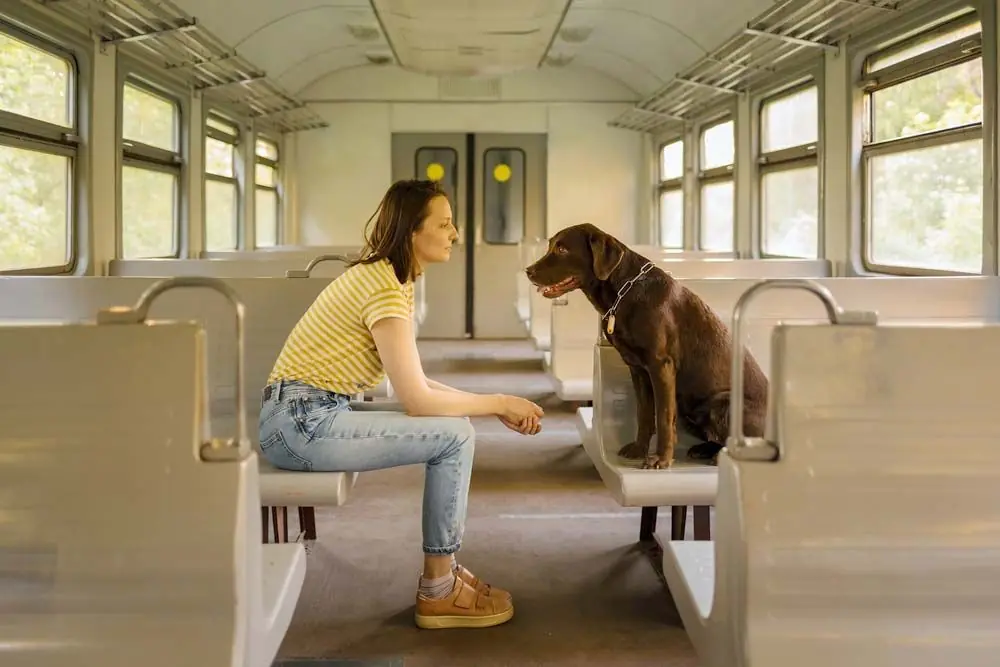 Descubre cómo viajar en tren con tu perro: Requisitos y consejos útiles