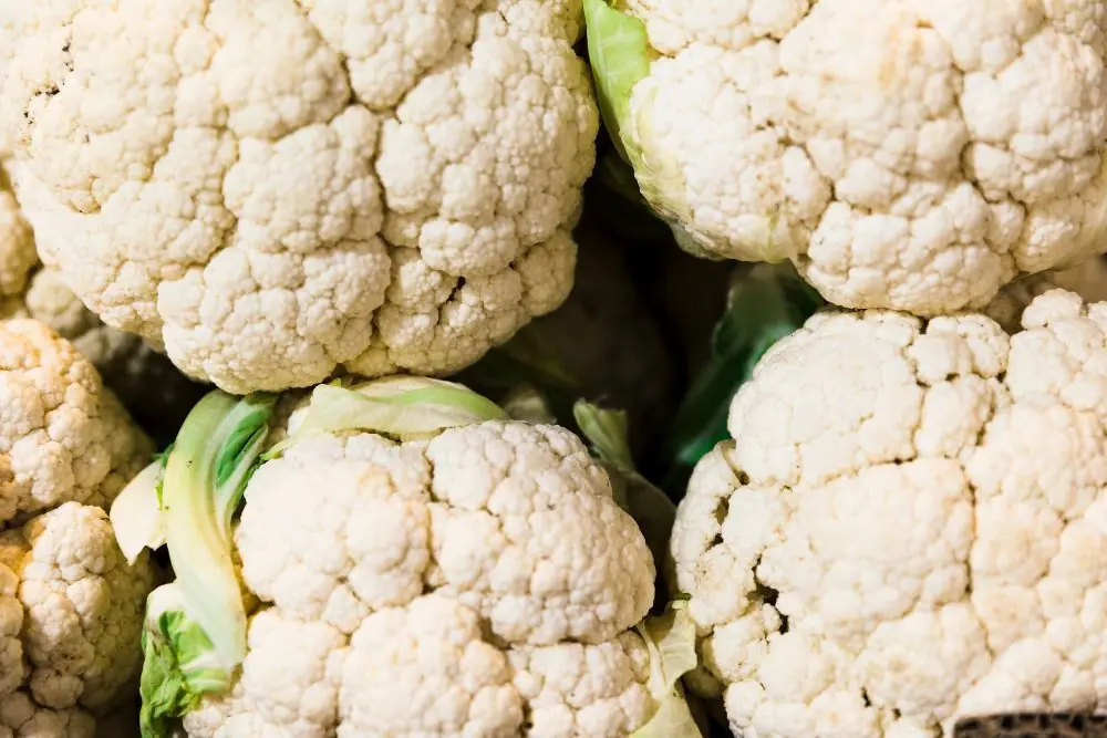 Effetti negativi del cavolfiore nei cani