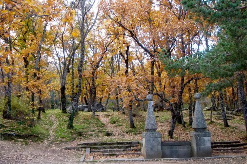 El Bosque de la Herreria