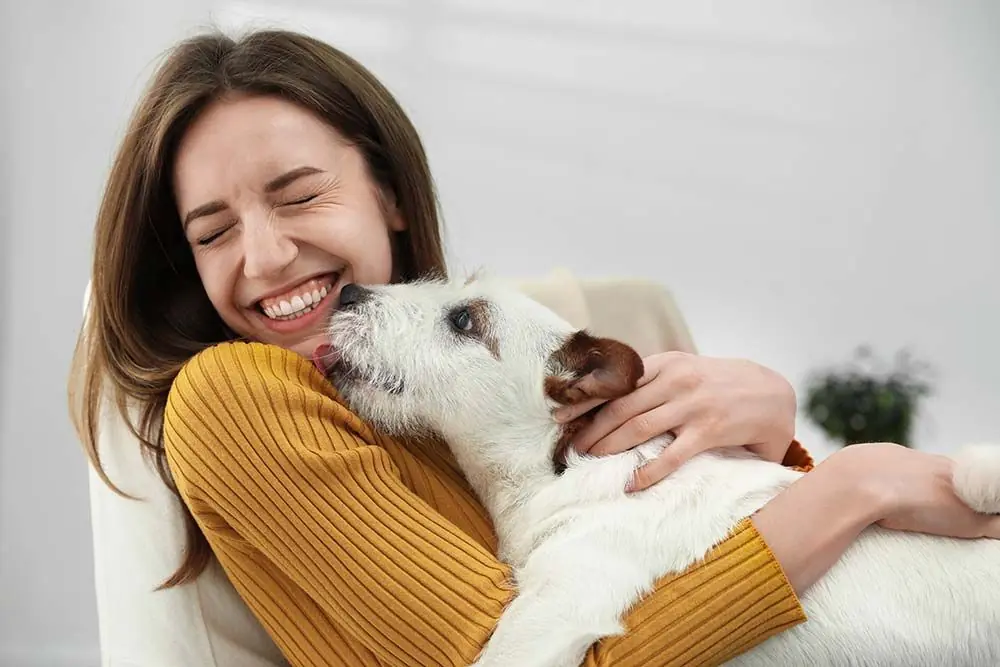 Frases de Perros divertidas