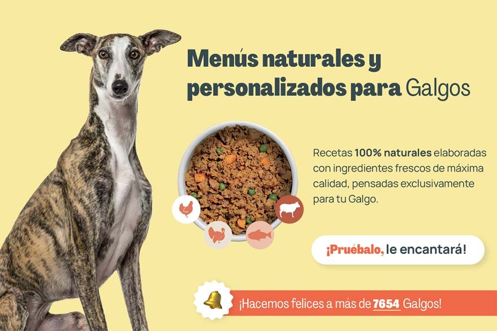 Galgo menus naturales personalizados