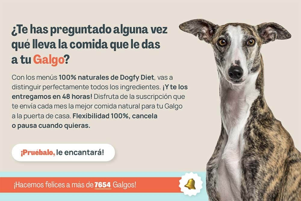 Galgo te has preguntado