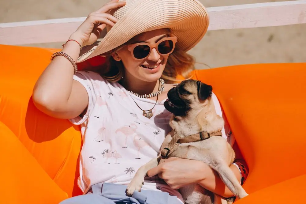 Los mejores hoteles que admiten mascotas en Mallorca 