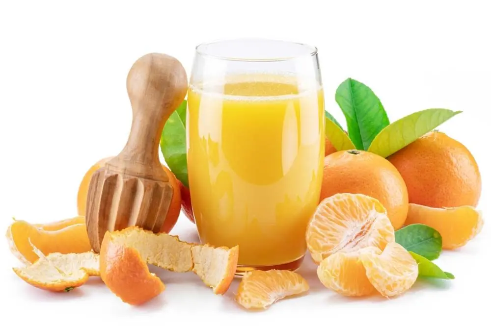 I cani possono mangiare succo di frutta o gelato al mandarino