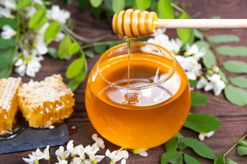 Metodi adeguati per somministrare il miele ai cani