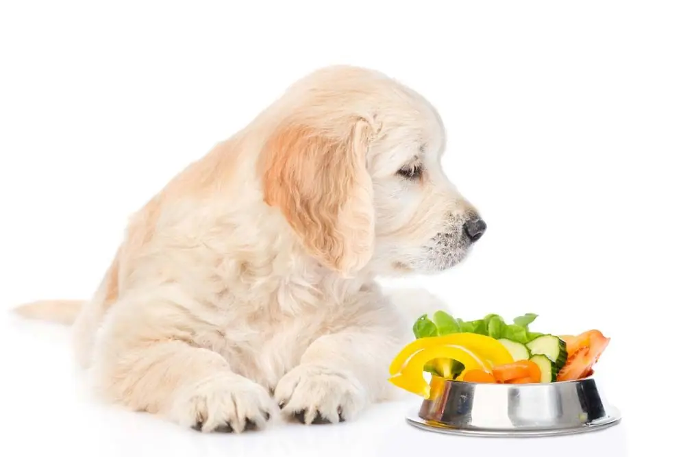 Non dimenticare un alimentazione bilanciata