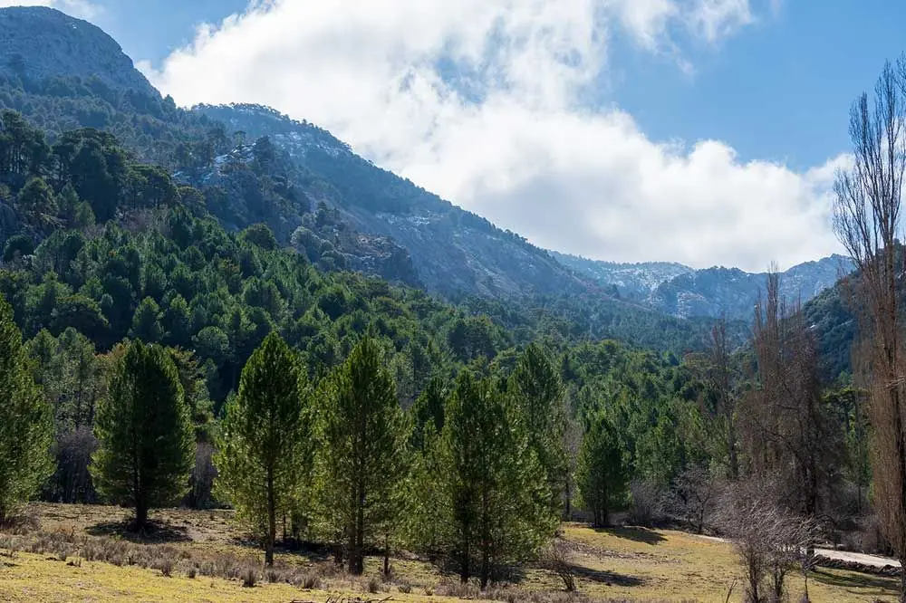 Parque Natural de Sierra de Cazorla Jaen