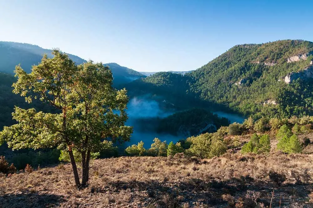 Parque Natural del Alto Tajo Guadalajara