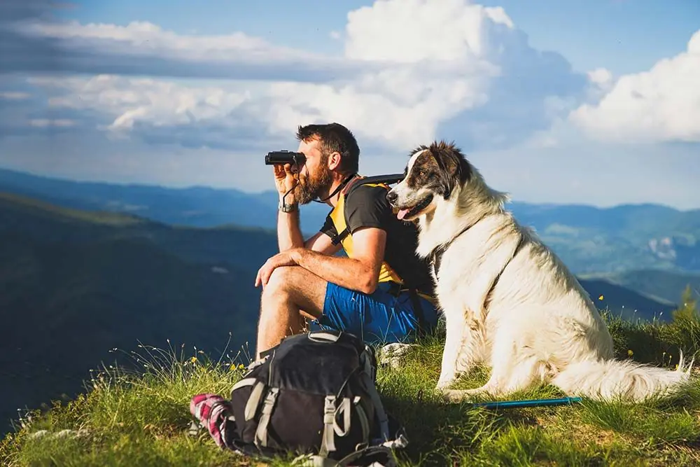 Razas de perros para senderismo: Razas aventureras para tus salidas
