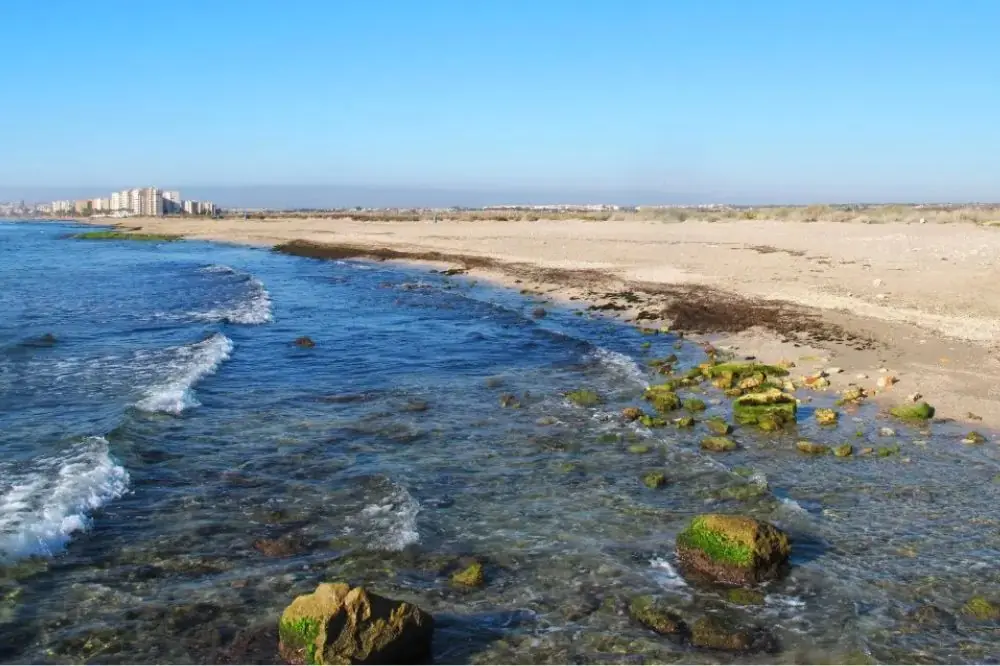 Playa Canina Agua Amarga