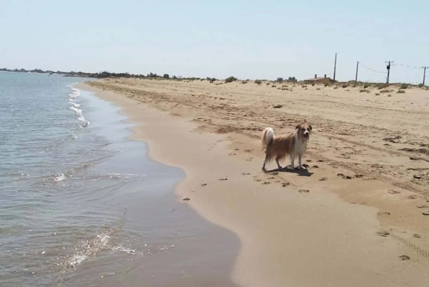 Playa Canina de Riumar Deltebre Tarragona