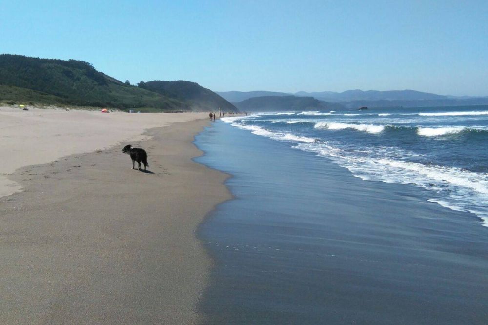 Playa de Bayas Castrillon