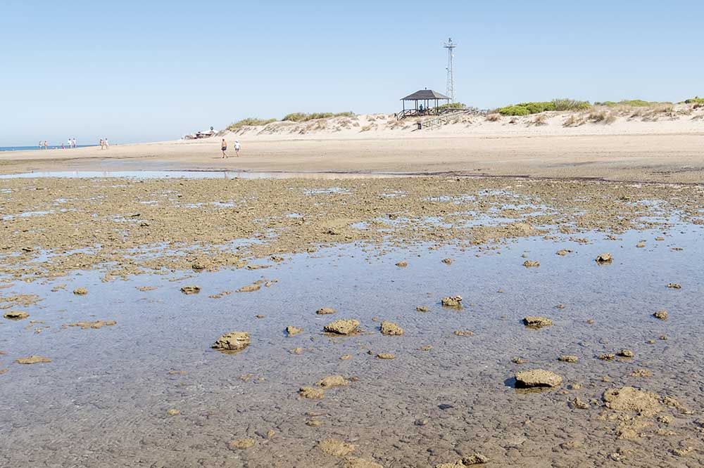 Playa de Punta Candor Rota Cadiz