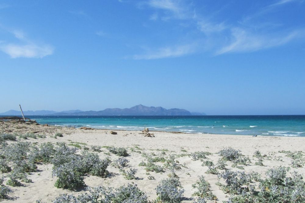 Playa de Son Serra de Marina