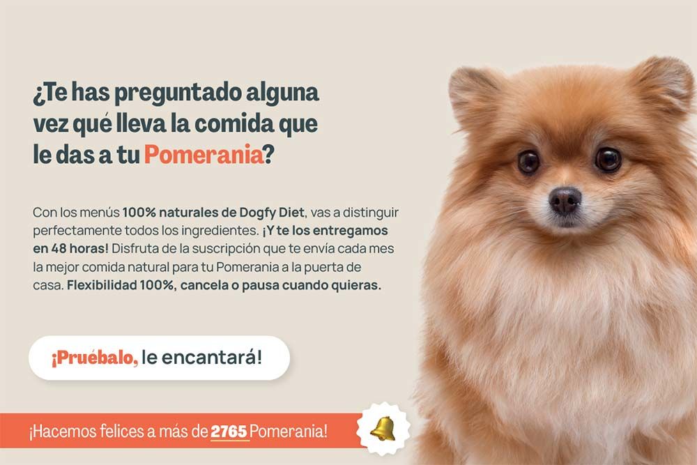 Pomerania te has preguntado