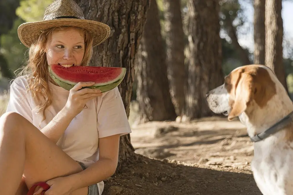 Precauzioni da prendere anguria