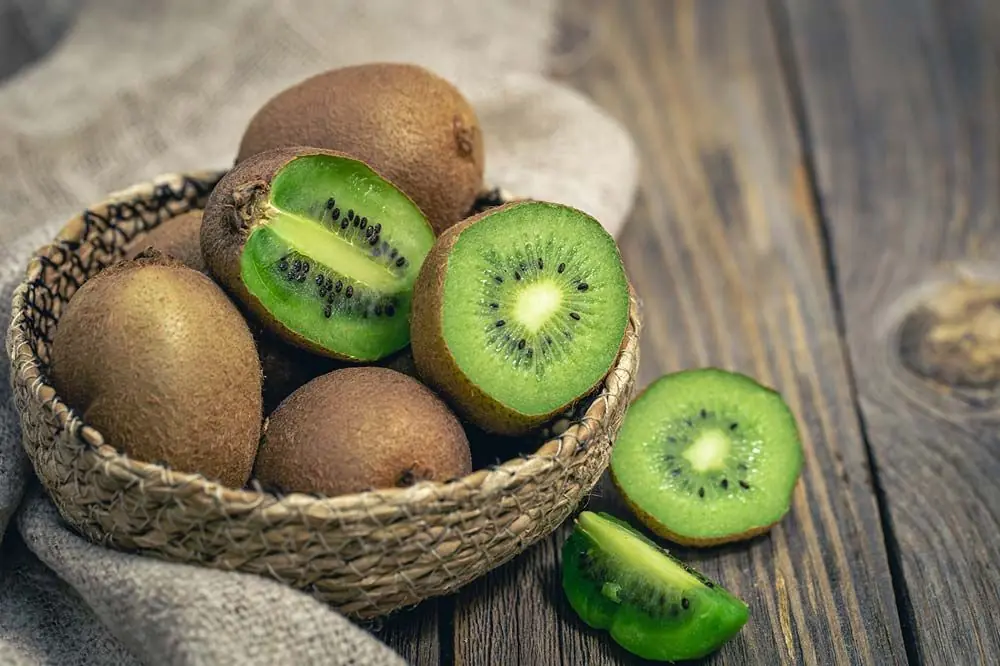 Precauzioni da prendere in considerazione quando si da il kiwi al tuo compagno peloso