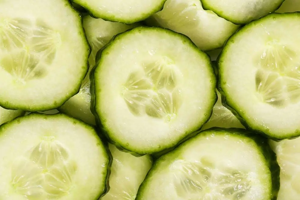 Quando non dare cetriolo al cane