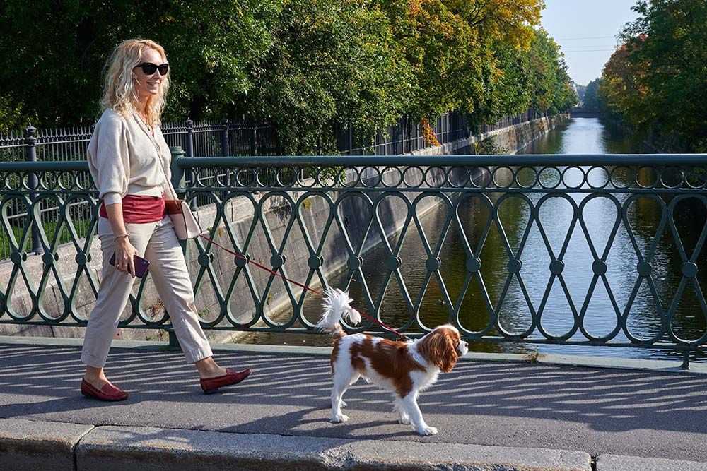 Razas de perros de asistencia cavalier king charles