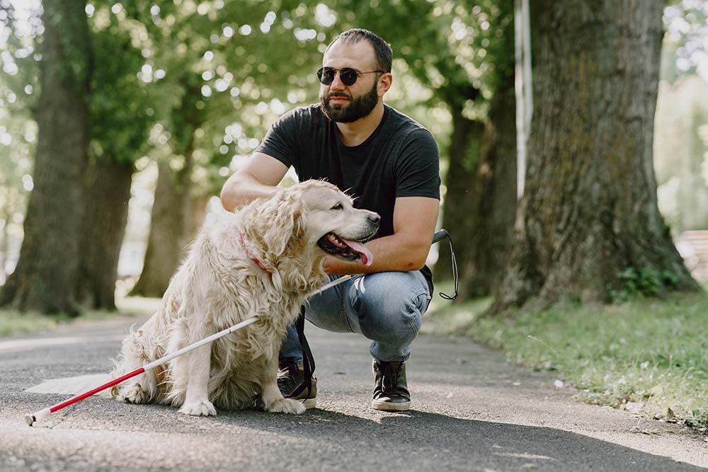 Razas de perros de asistencia labrador