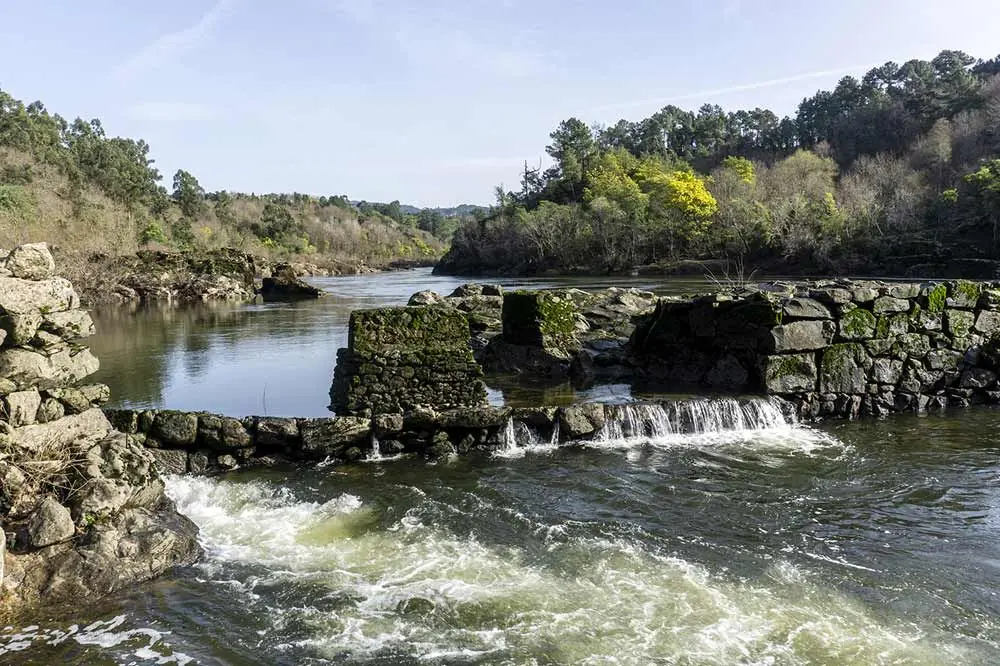 Rio Mino Lugo