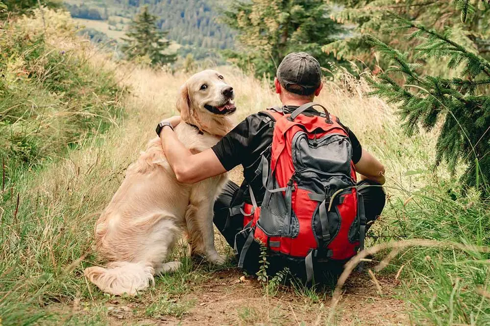 Explora la naturaleza en compañía: Rutas de senderismo y paseos naturales con tu perro