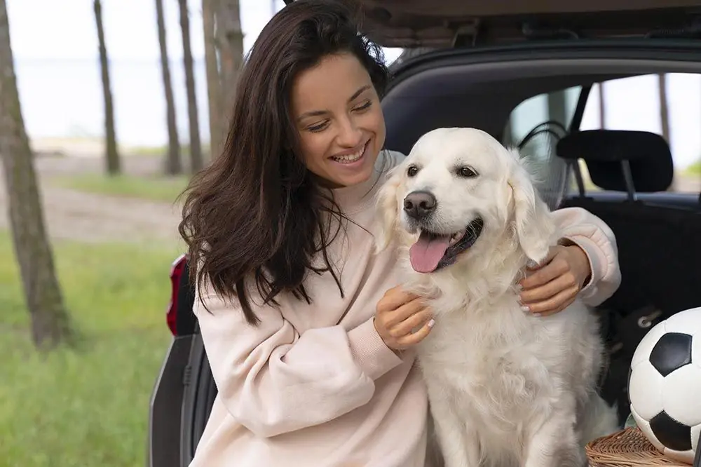 Salud y seguridad del perro durante el viaje: Cuida a tu fiel compañero en todo momento