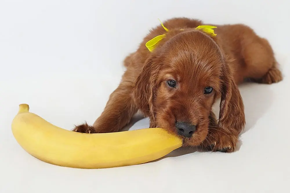 Scelte salutari oltre alla banana