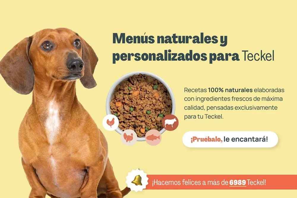 Teckel menus personalizados