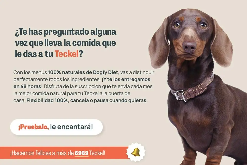 Teckel te has preguntado