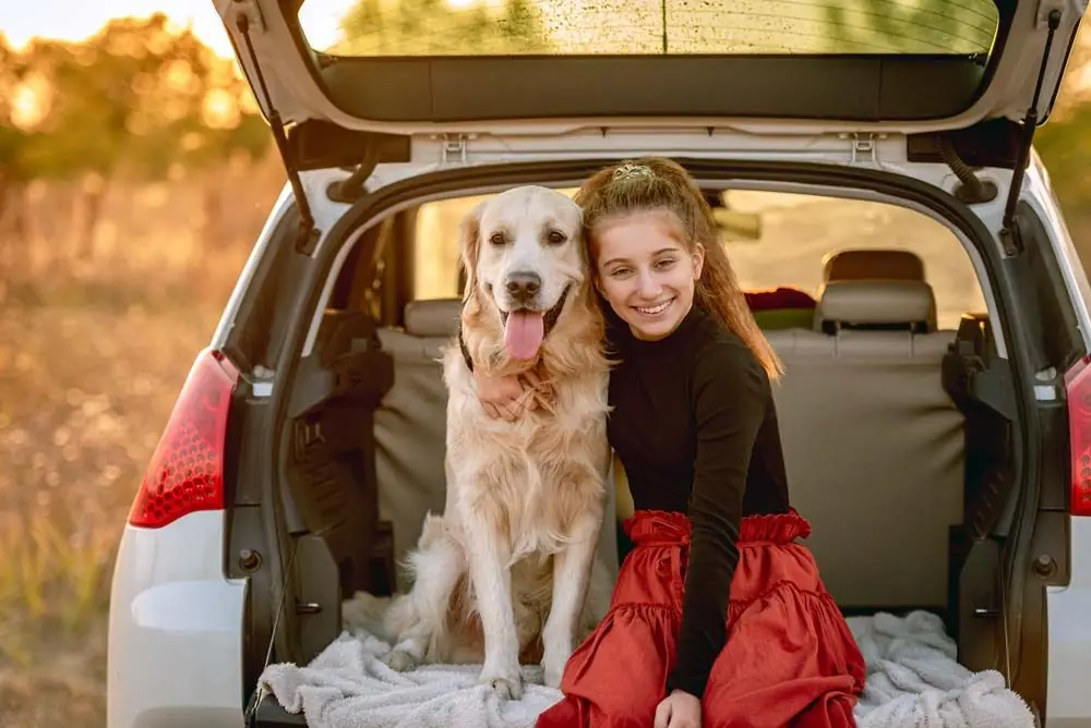 Consejos para un transporte seguro en coche con perro