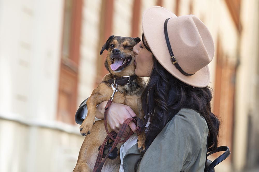 destino petfriendly madrid