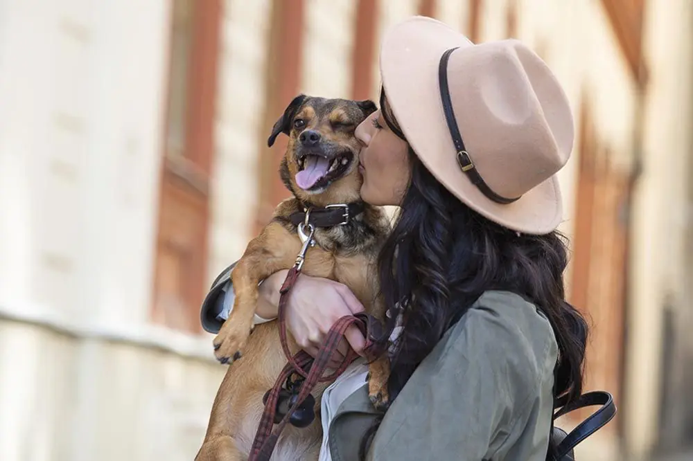 destino petfriendly madrid