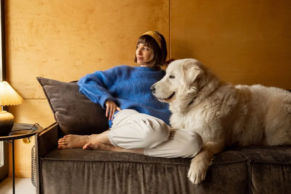 Los mejores hoteles que admiten mascotas en Cádiz 