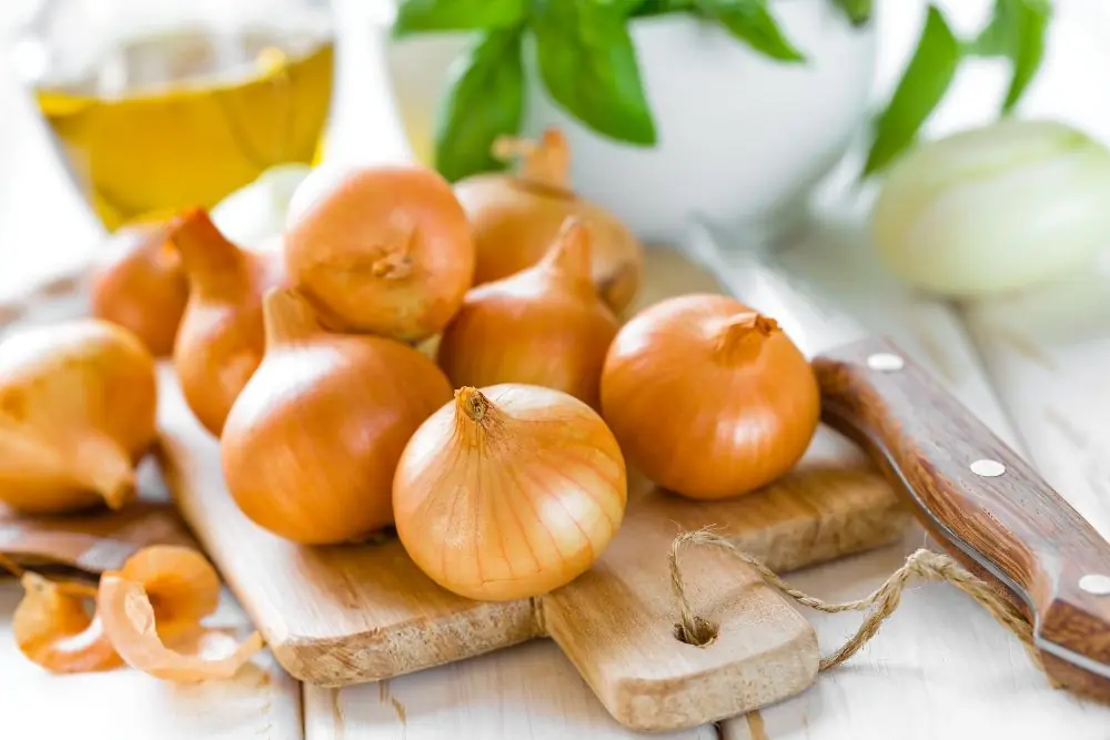 Pericolo! Le verdure che i cani non possono mangiare