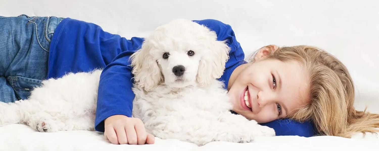 6 Razas de Perros que NO Huelen - Descubre las razas de perros más limpias y sin olor