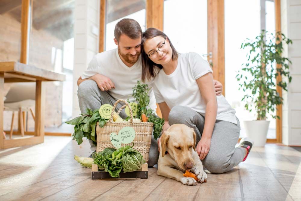 Avantages alimentation domicile pour les chiens