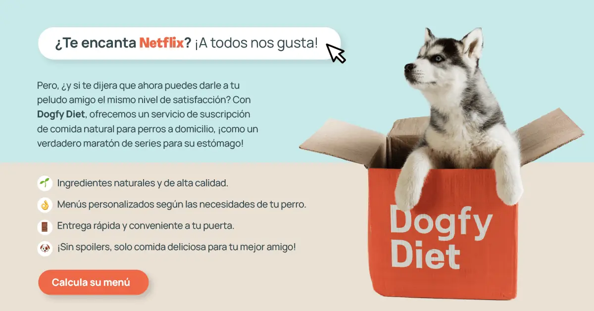 suscripcion comida para perros