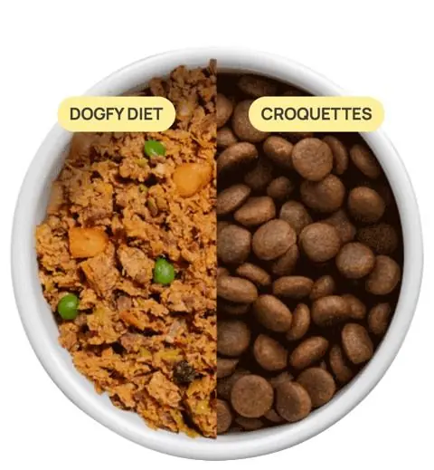 Capture decran a removebg preview