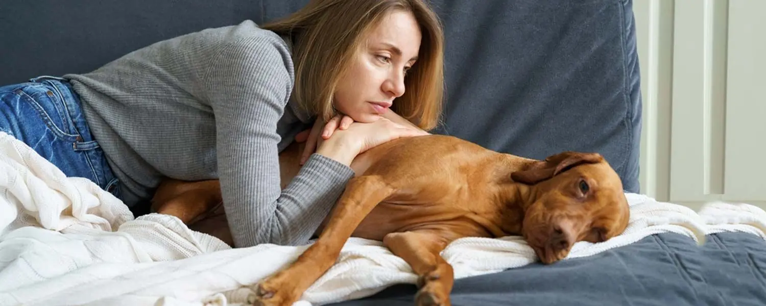 Cómo cuidar a tu perro cuando está enfermo