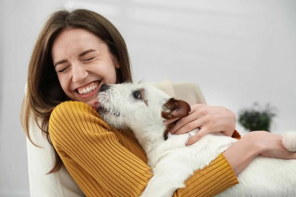 Como demuestran perros amor