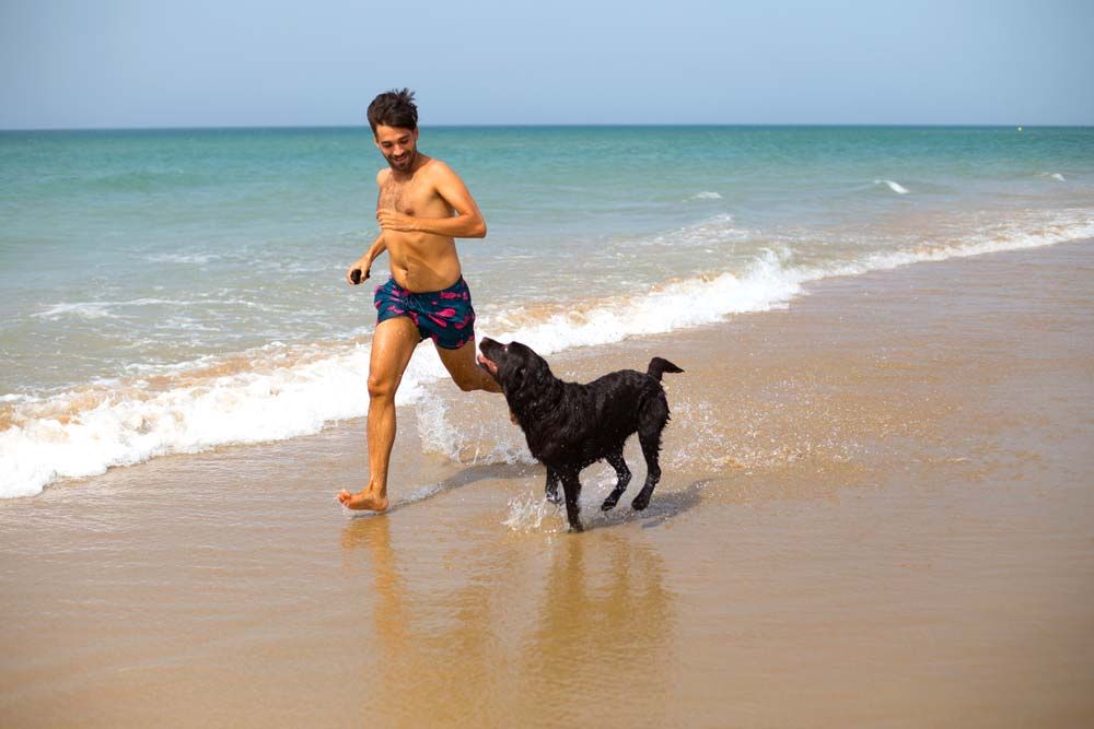 Consejos para una salida perfecta a la playa con tu perro