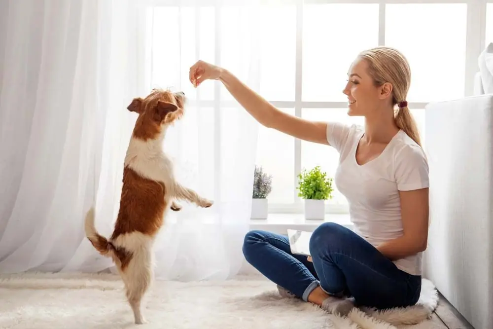 Ejercicios de equilibrio