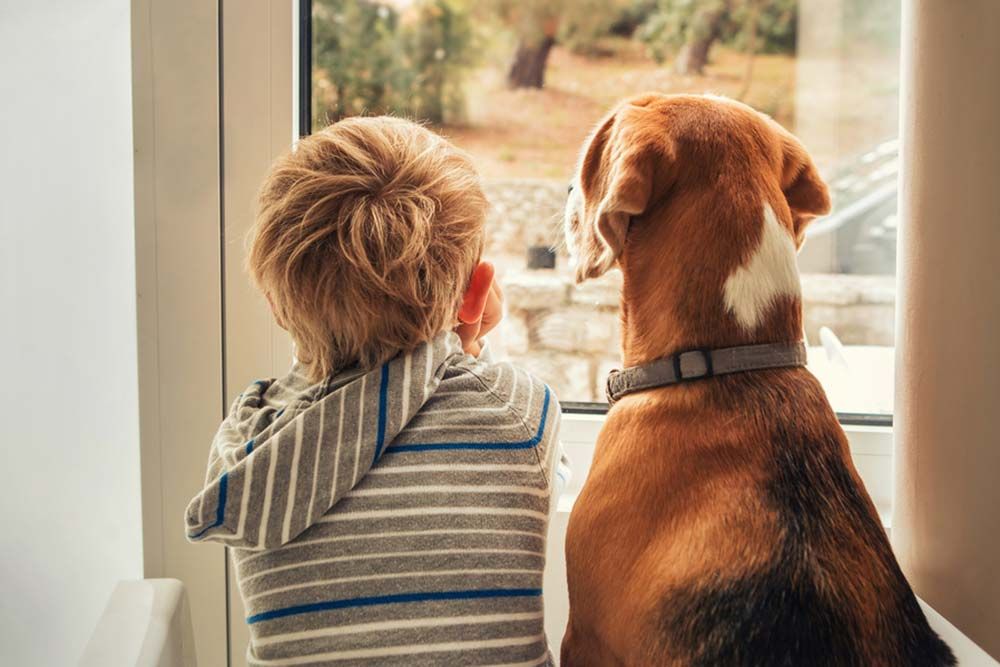 Lealtad inquebrantable