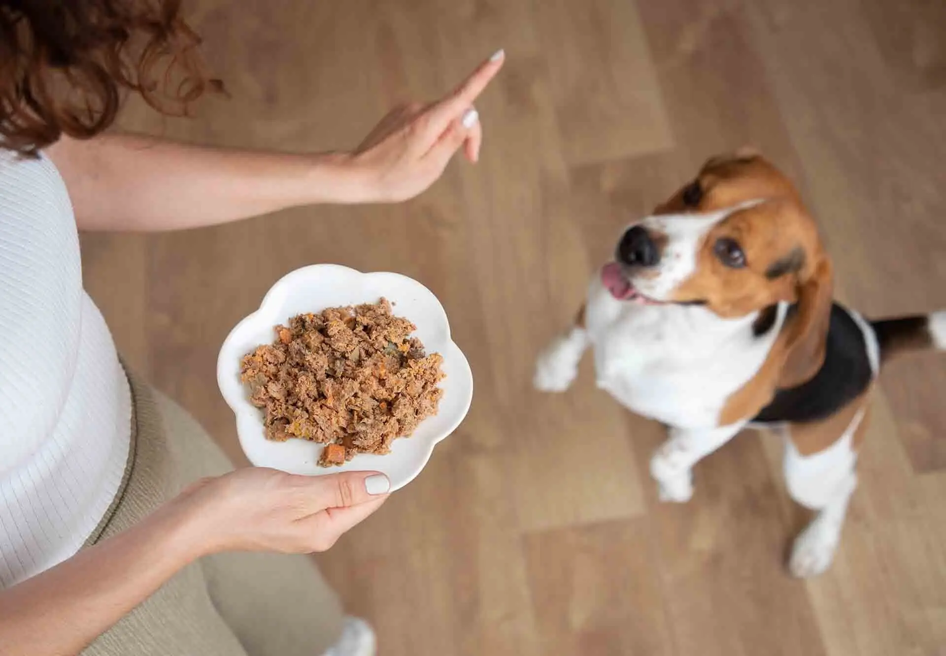 Quelle quantité un chien doit-il manger ?