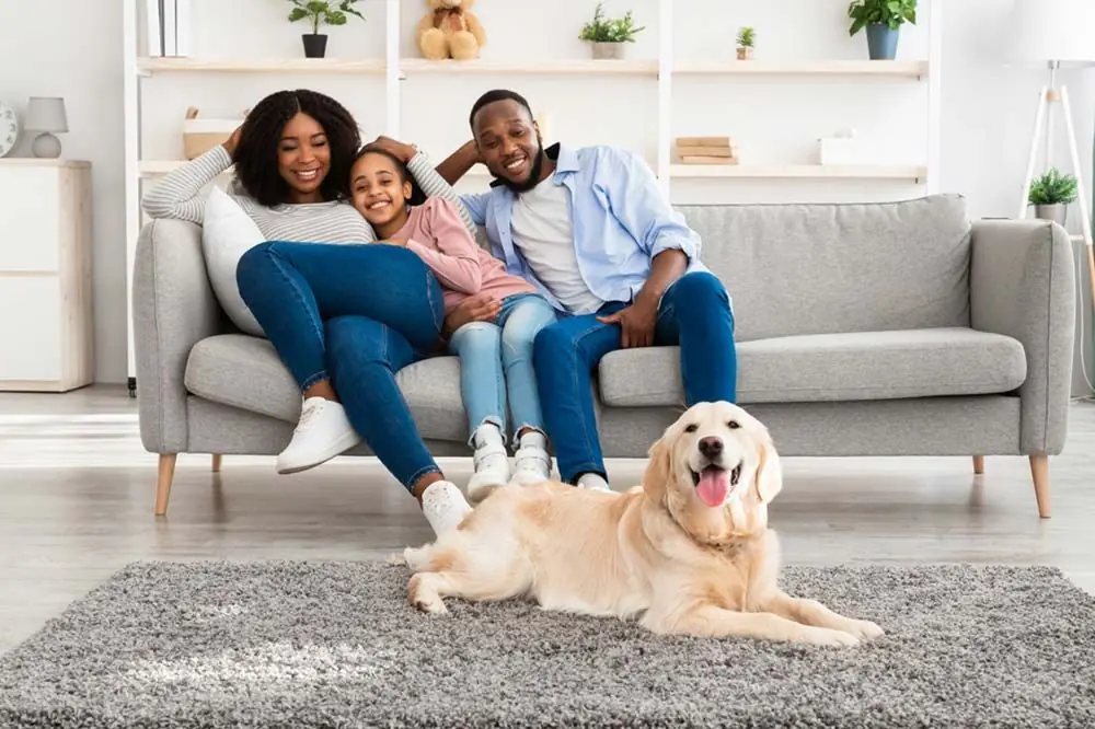 Relajacion y bienestar