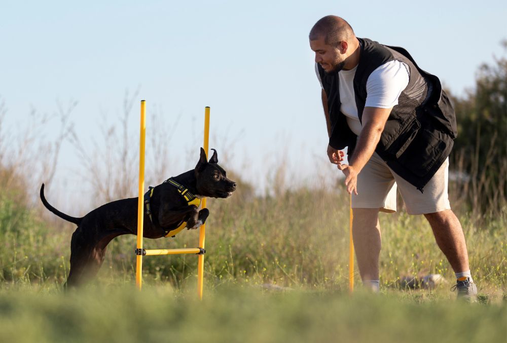 Sesiones cortas y frecuentes