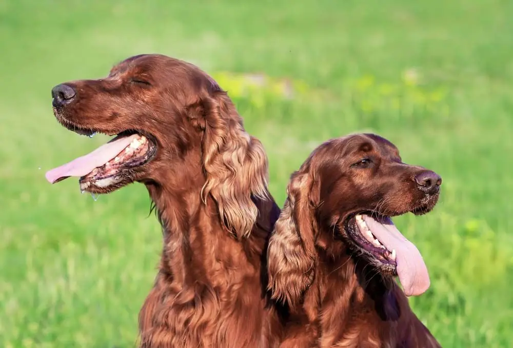actividad fisica clima