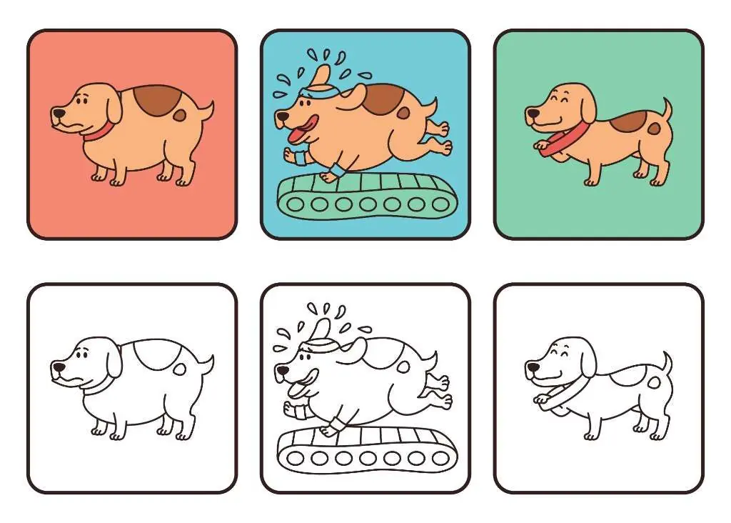 actividad fisica en perros