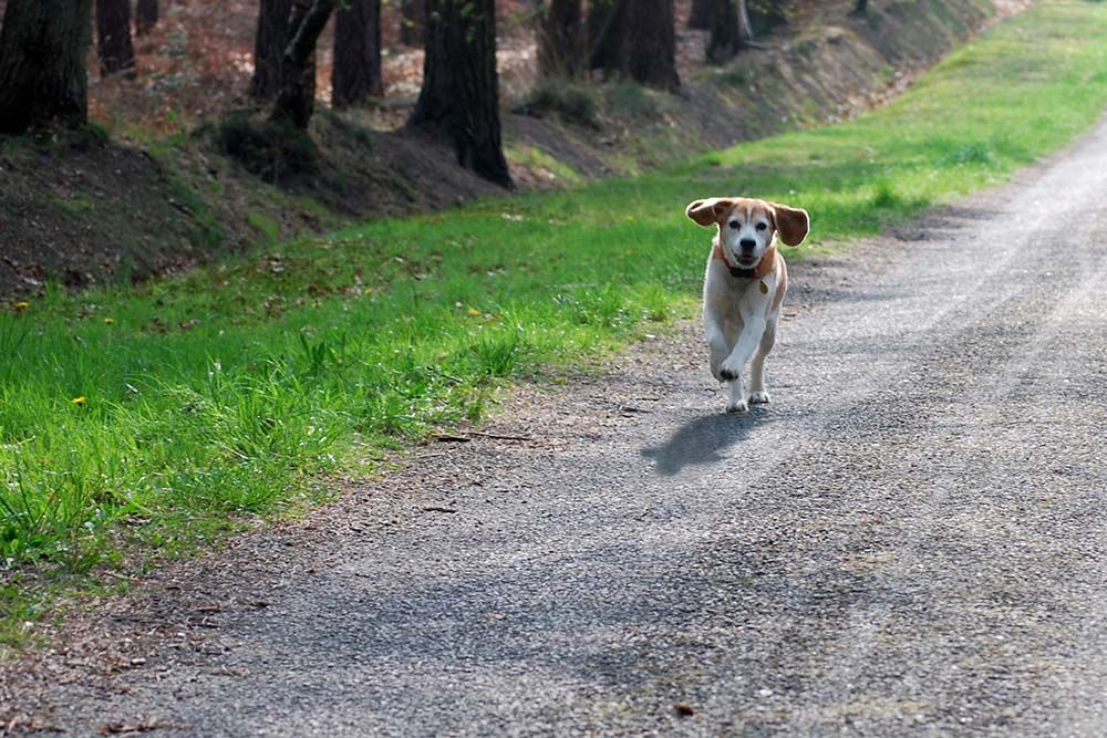 horarios lugares adecuados ejercicio